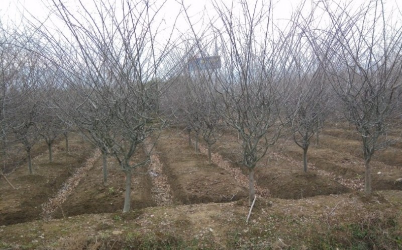 NZU)U74}_Z$GN(KHYEVA~ST