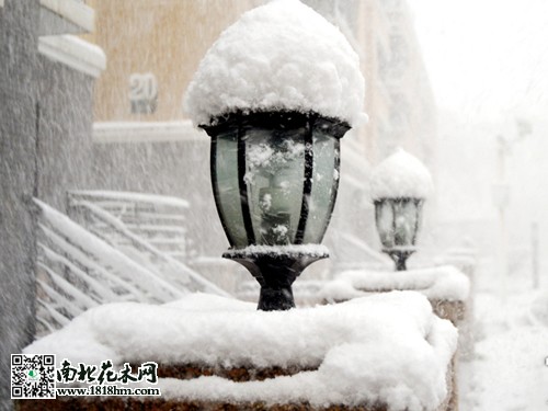 烏魯木齊4月飛雪2