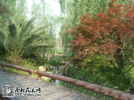 房市低迷促使開發商注重小區綠化建設