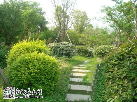 房市低迷促使開發商注重小區綠化建設2