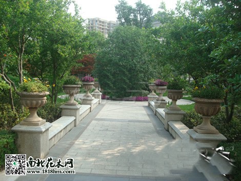 房市低迷促使開發商注重小區綠化建設4