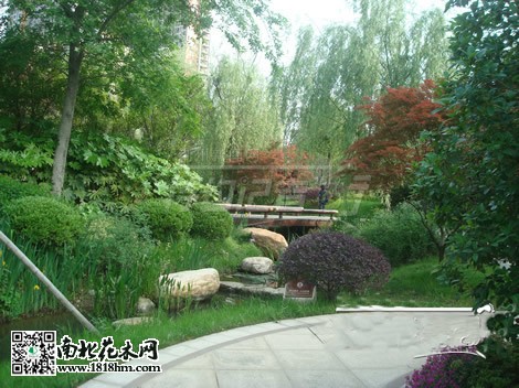 房市低迷促使開發商注重小區綠化建設5