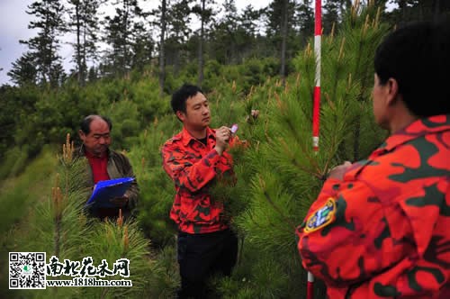 苗木“電子身份證”2