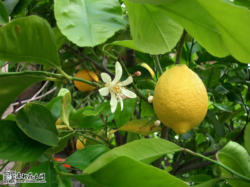 20120521103708_CRHTQ.thumb.600_0_meitu_5