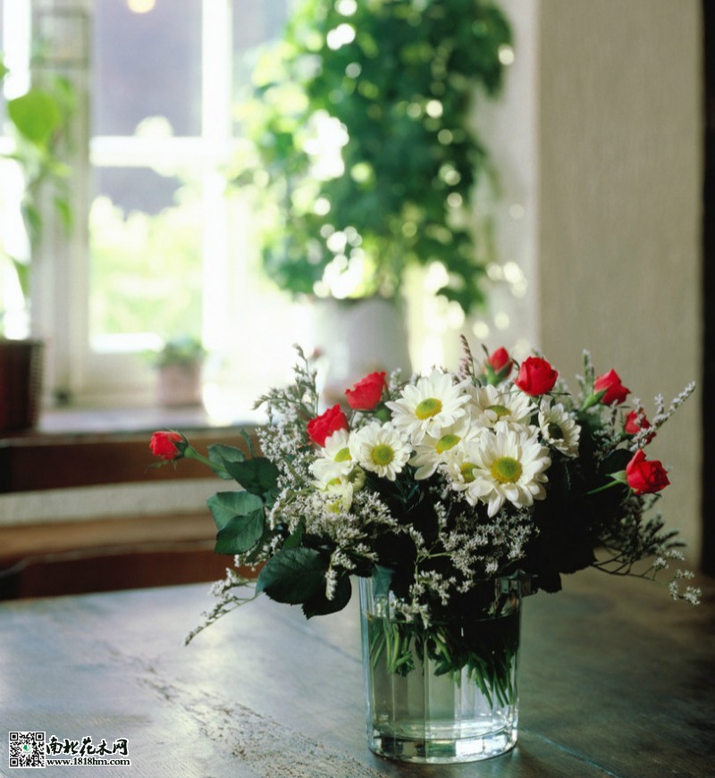 室內鮮花_meitu_1