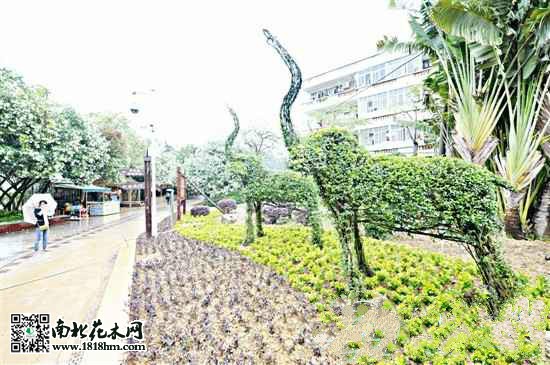 大象景觀_meitu_1