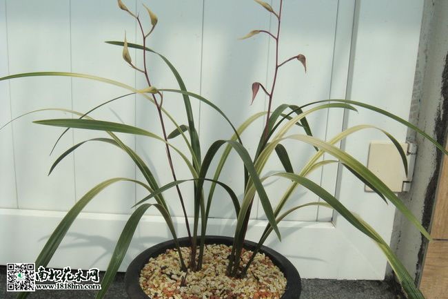 2011112083434_9cbd8d1f