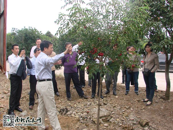 苗圃基地里的培訓班