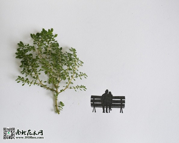 我能想到最浪漫的事，就是和你一起慢慢變老