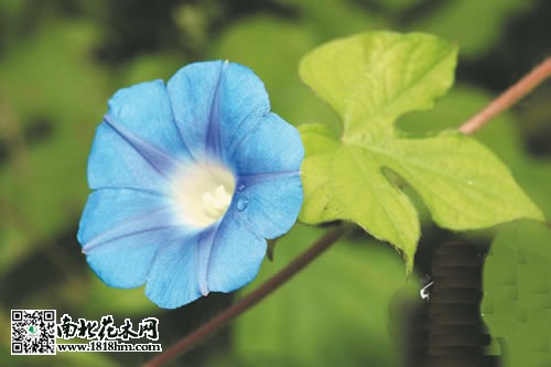 牽?；? /></p>
<p style=