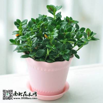 e0a8b8f6e766d06bc6d5a2eb6b40ec505d2d78fb19092-72c81d_fw658