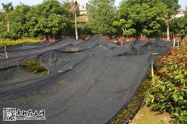 QQ截圖20150713152230