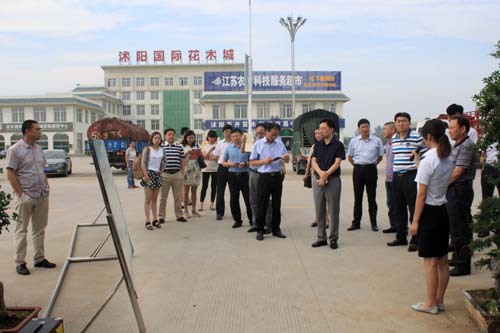 聽取講解員講解