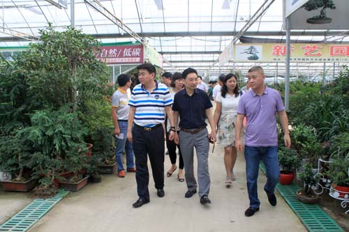 參觀沭陽國際花木城盆景區