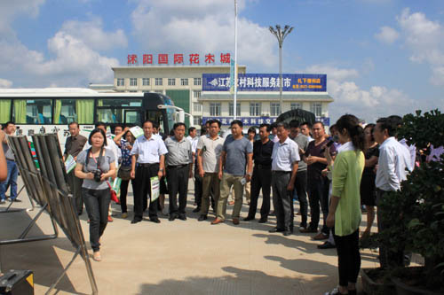 沭陽國際花木城成功大道