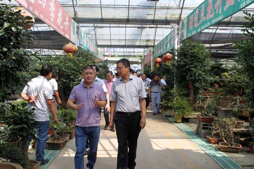 花木城總經理劉攀峰