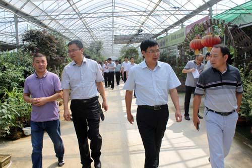 沭陽國際花木城