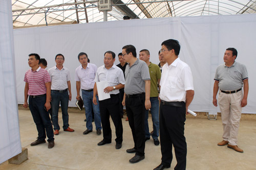 第三屆中國沭陽花木節場館布置