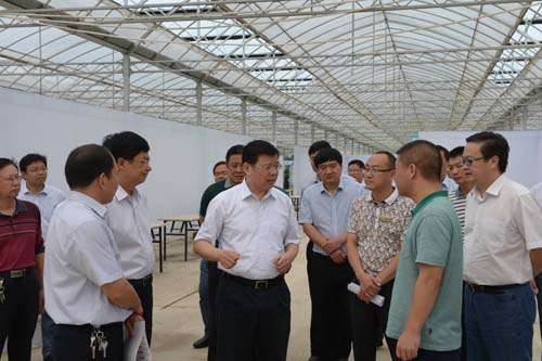 沭陽縣委書記胡建軍