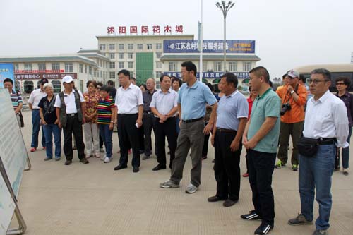 張新實參觀沭陽國際花木城