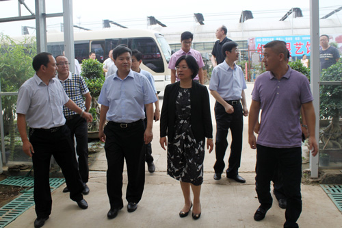 省人社廳副廳長周英