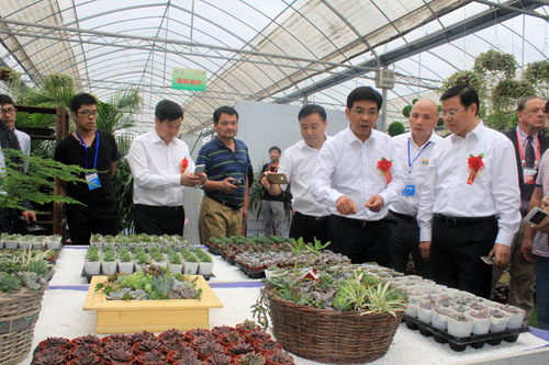 第三屆中國•沭陽花木節今日盛大開幕