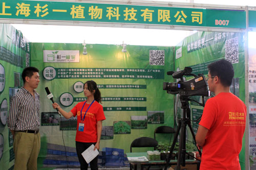 南北花木網展會現場采訪
