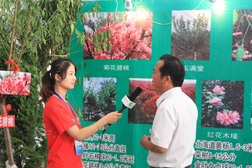 南北花木網采訪