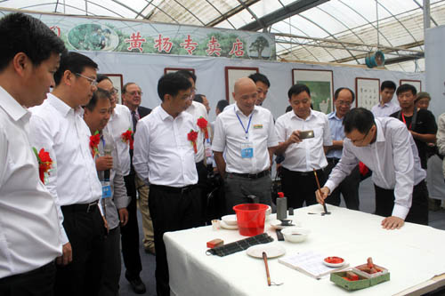 書法家現場表演