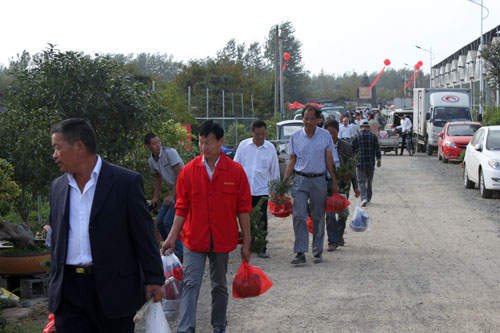 第三屆中國沭陽花木節