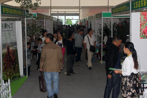 沭陽花木節展區