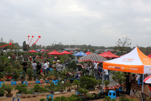 沭陽花木節大賣場