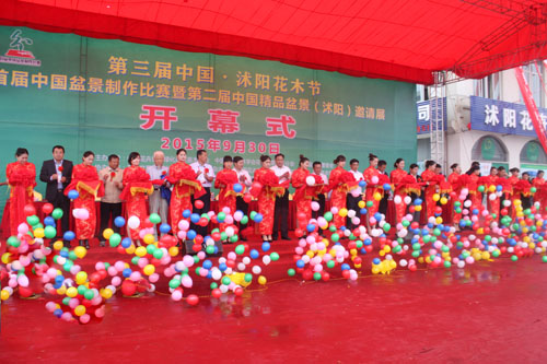 沭陽花木節開幕式