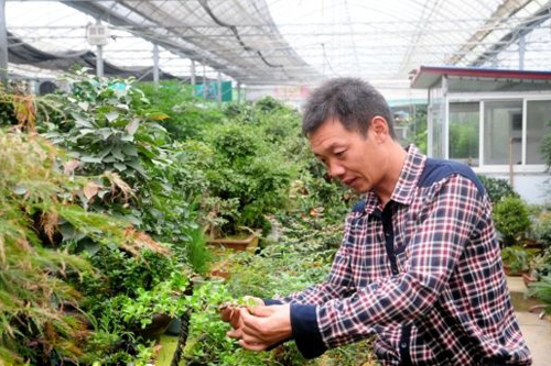 沭陽國際花木城經營戶鮑俊虎