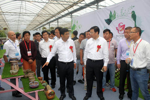 中國花卉協會副秘書長陳建武參觀沭陽國際花木城