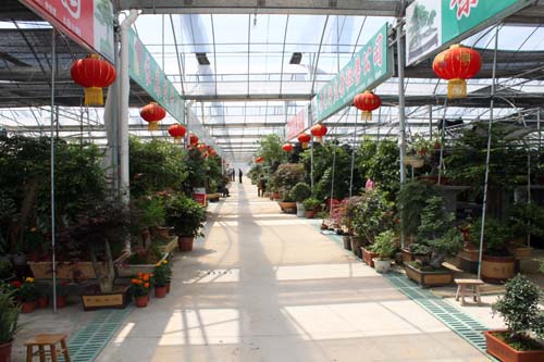 沭陽國際華城盆景區