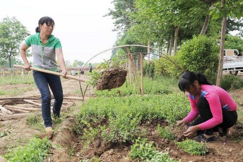 河北定州市大辛莊齊堡村