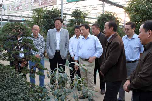 沭陽國際花木城