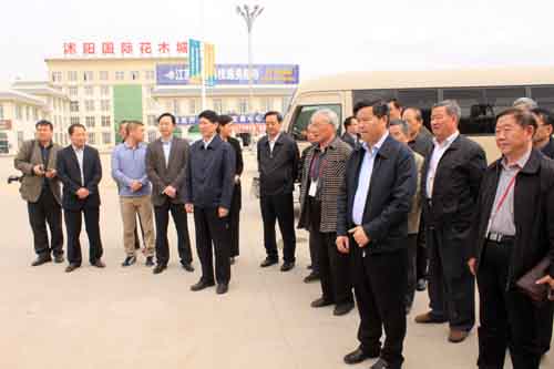 省委組織部副部莊同保視察沭陽國際花木城
