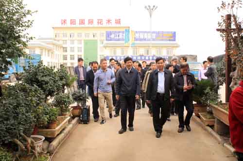 進入沭陽國際花木城盆景區