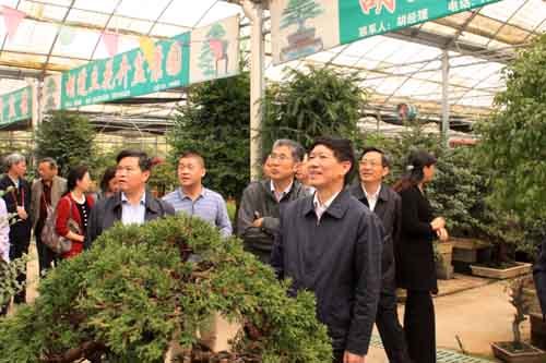 沭陽國際花木城