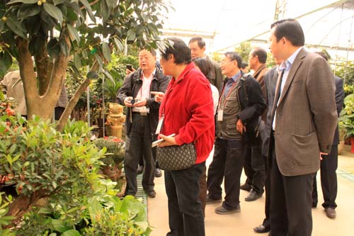 銀發專家考察團