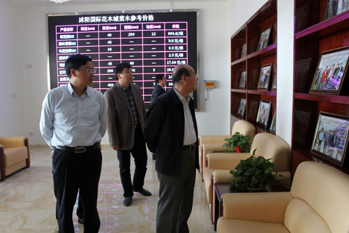 沭陽國際花木城榮譽墻