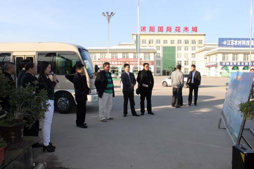 臺灣客商參觀沭陽國際花木城