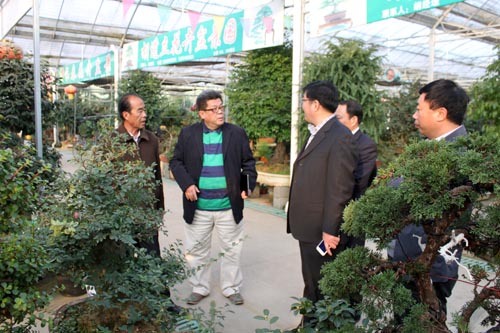 與花木城商家交流