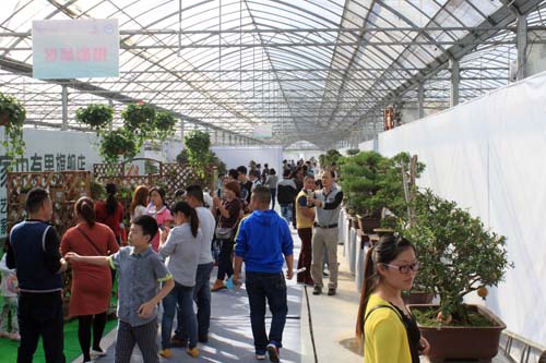第三屆中國沭陽花木節