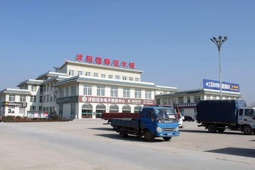 沭陽國際花木城