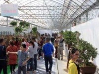 中國·沭陽花木節被省政府列入“節慶品牌”建設項目