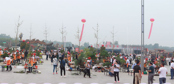 未標題_全景圖1