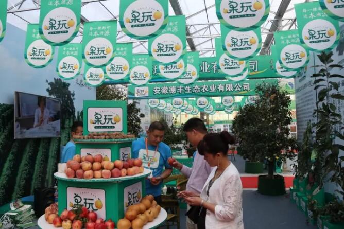 第五屆中國沭陽花木節